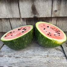 Scaly Bark Watermelon