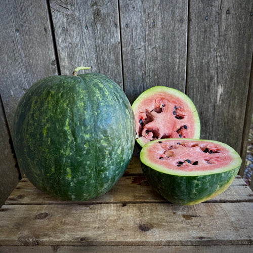 Scaly Bark Watermelon