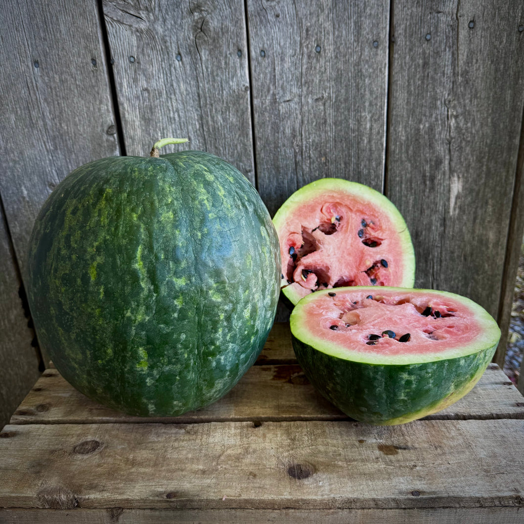 Scaly Bark Watermelon