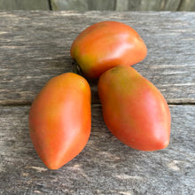 Sheboygan Tomato