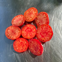 Sobkowich Slicer Tomato