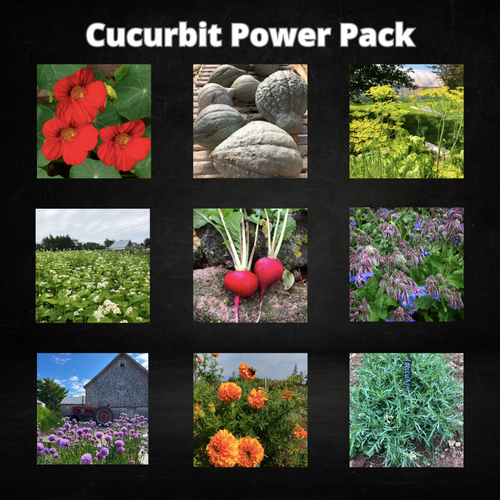 Cucurbit Power Pack