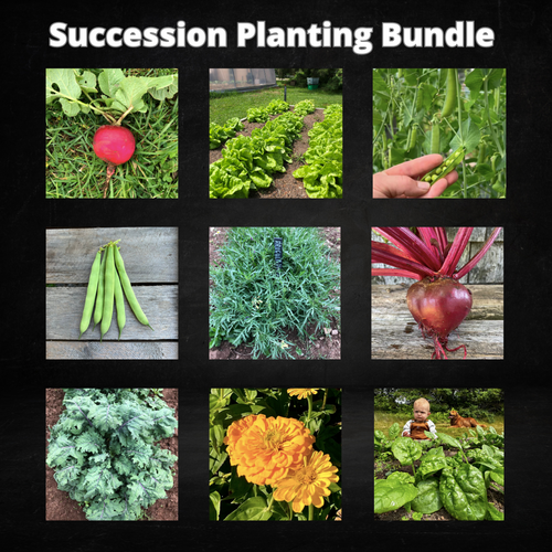 Succession Planting Bundle to Enjoy Throughout the Season