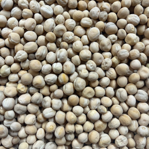 Swenson Swedish Snow Pea