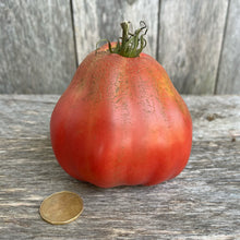 Uncle Don's Big Aussie Tomato