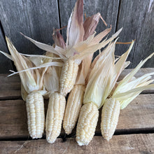 Will's Early June Sweet Corn