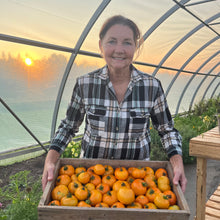 Woodle Orange Tomato