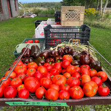 Zarnitsa Tomato