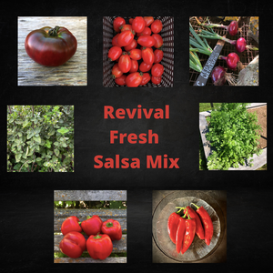 Revival Fresh Salsa Mix