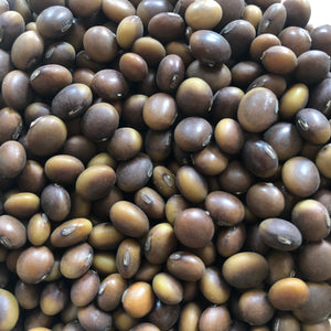 agate soybean