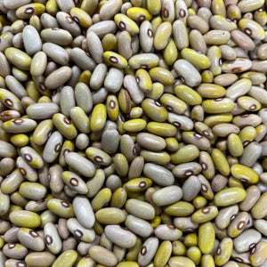 Arikara Yellow Bean