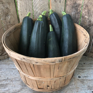 Black Beauty Zucchini