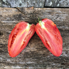 Blue Beech Tomato