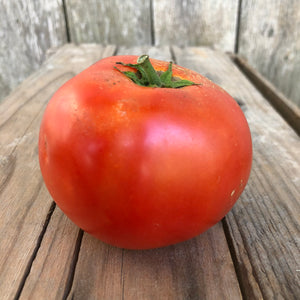 Bonny Best Tomato