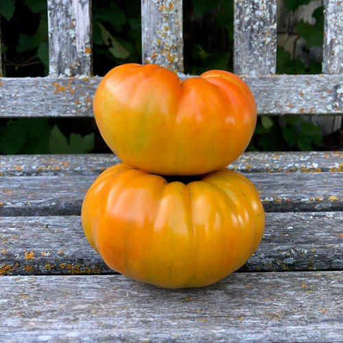 Striped German Tomato