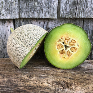 Green Nutmeg Melon