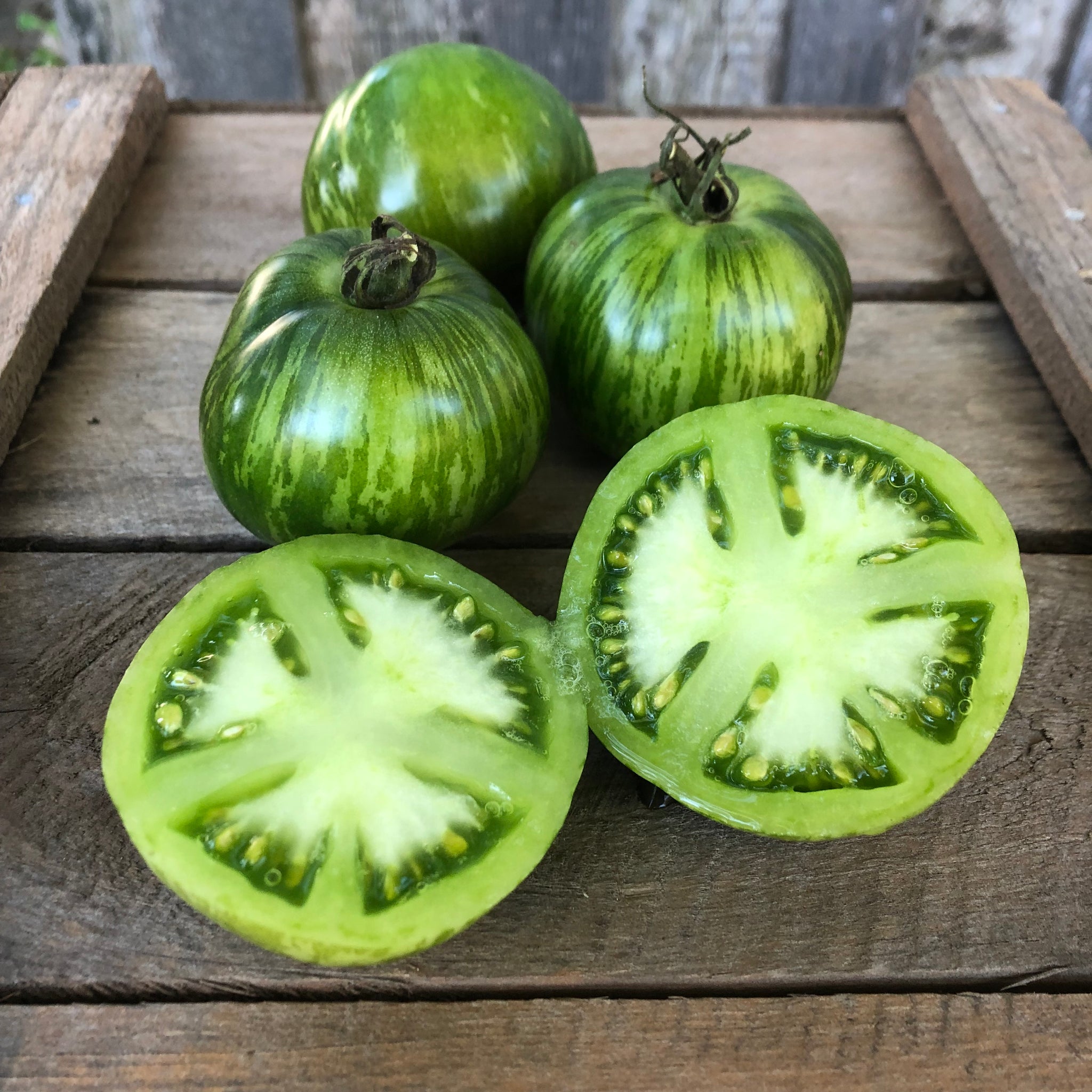 Green Zebra Tomato – Revival Seeds