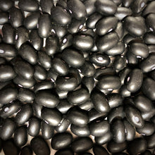 Midnight Black Turtle Dry Bean