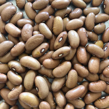 Annie's Ireland Creek Bush Bean