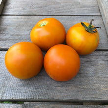 Jaune Flamme Tomato