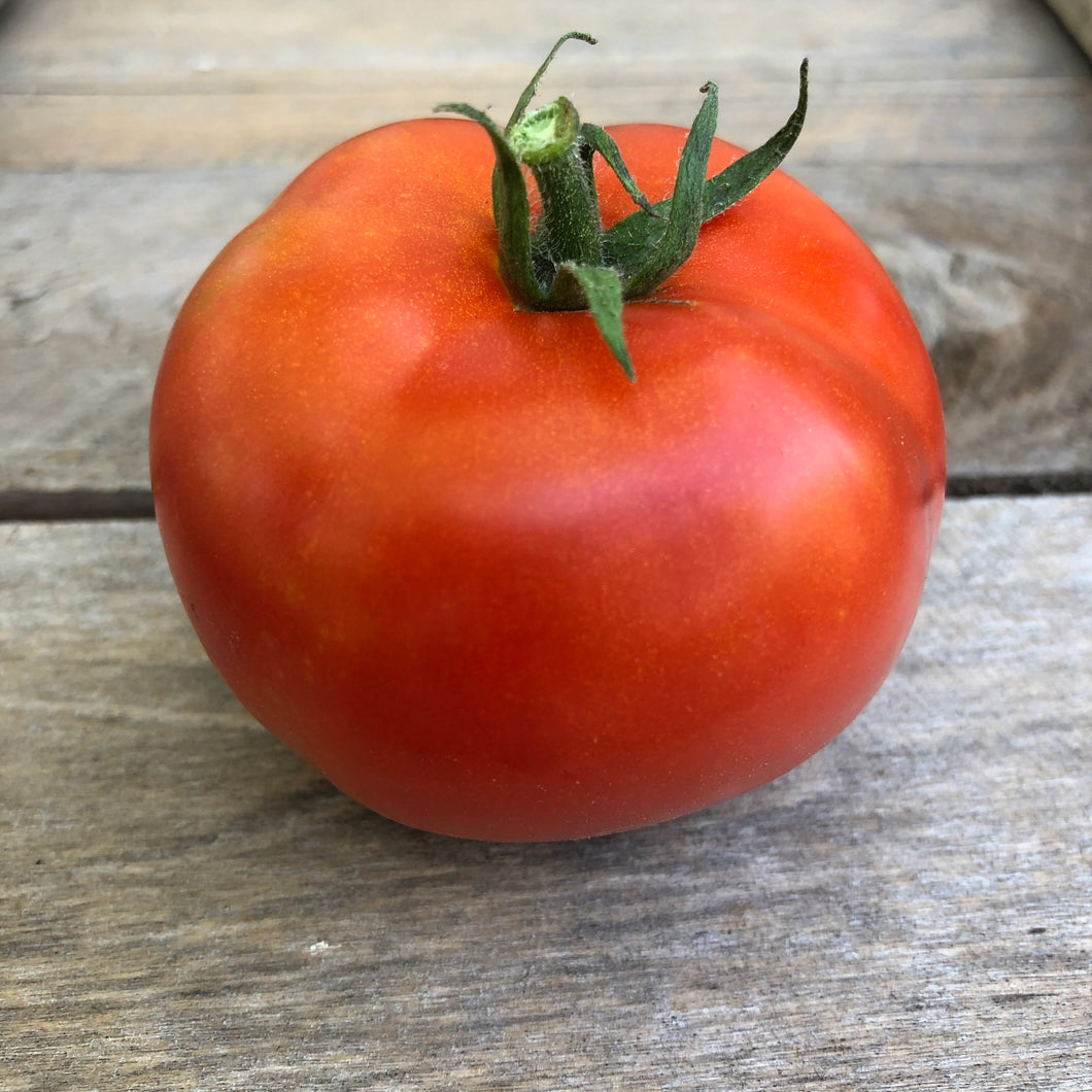 Kalinka Tomato
