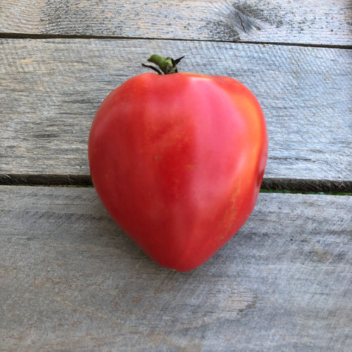 Katie's Oxheart Tomato