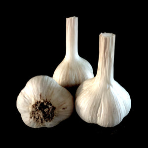 Majestic Garlic