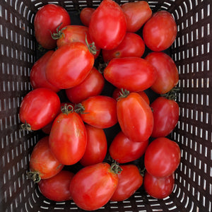 Martino's Roma Tomato