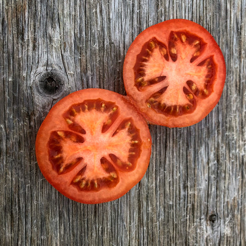 Matchless (Austin Strain) Tomato