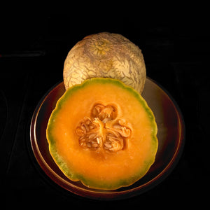 amish melon - moshers corner strain
