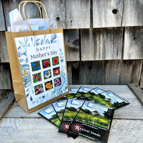 Mother's Day Gift Bag
