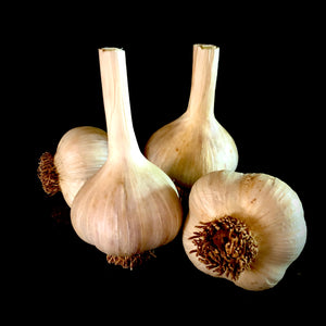 Portugal Azores Garlic