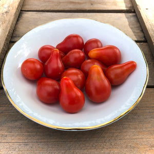 Red Fig Tomato