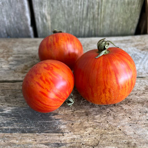 Red Zebra Tomato