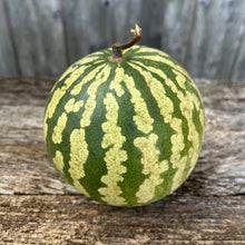 Red Seeded Citron Watermelon