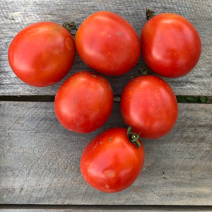 Siberian Tomato