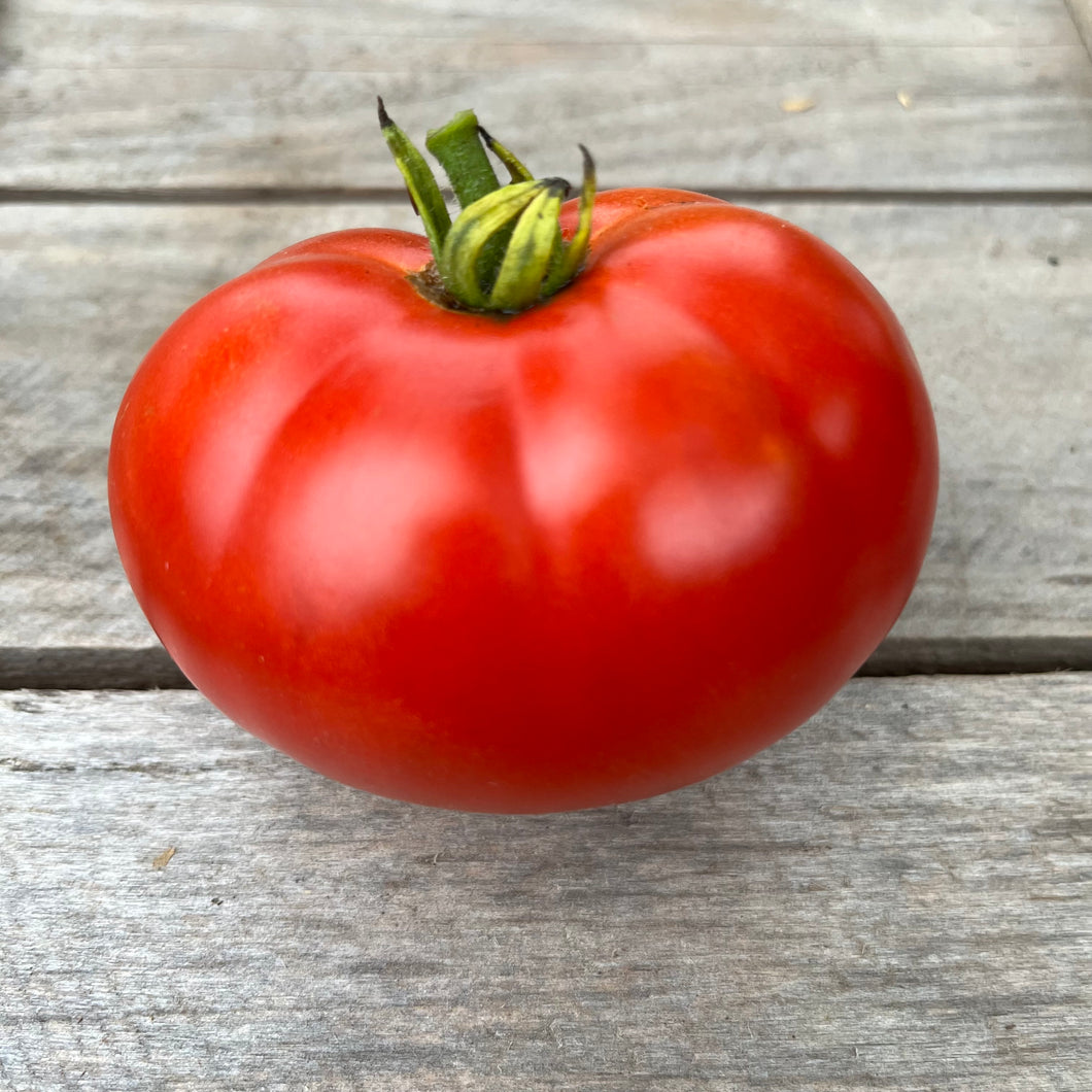 Stanley Zubrowski Tomato