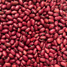 Hidatsa Red Bean