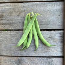 Emil's Stringless Green Bush Bean