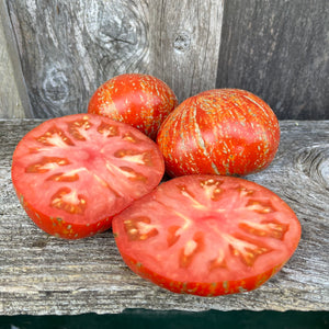 Feurerwerk Tomato