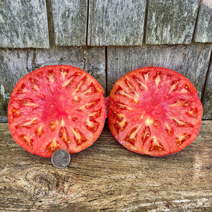 Brandywine Cherry Tomato - Renaissance Farms Heirloom Tomato Seeds