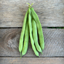 Zinck Pole Bean