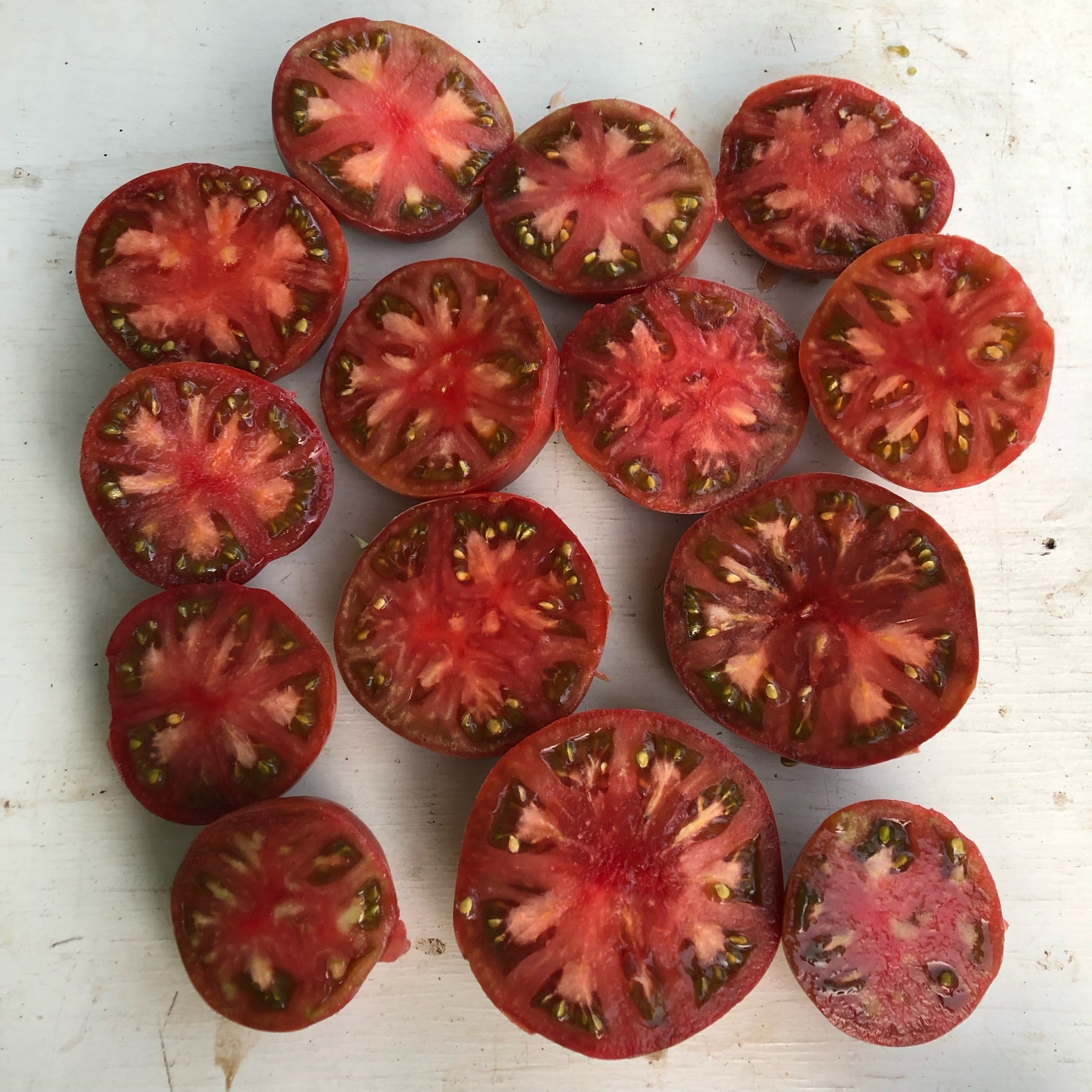 Byrka's Blue Tomato – Revival Seeds