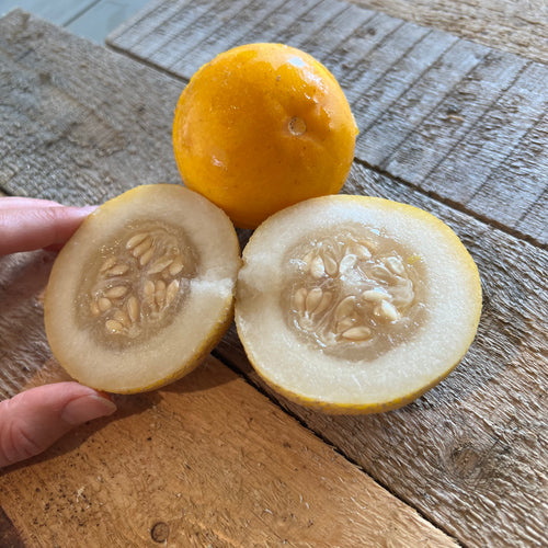 Mother Mary's Pie Melon