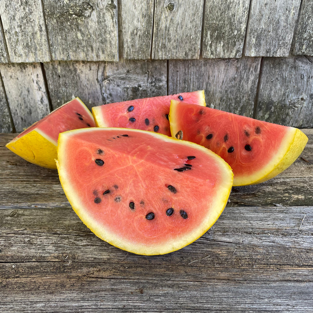 Golden Midget Watermelon