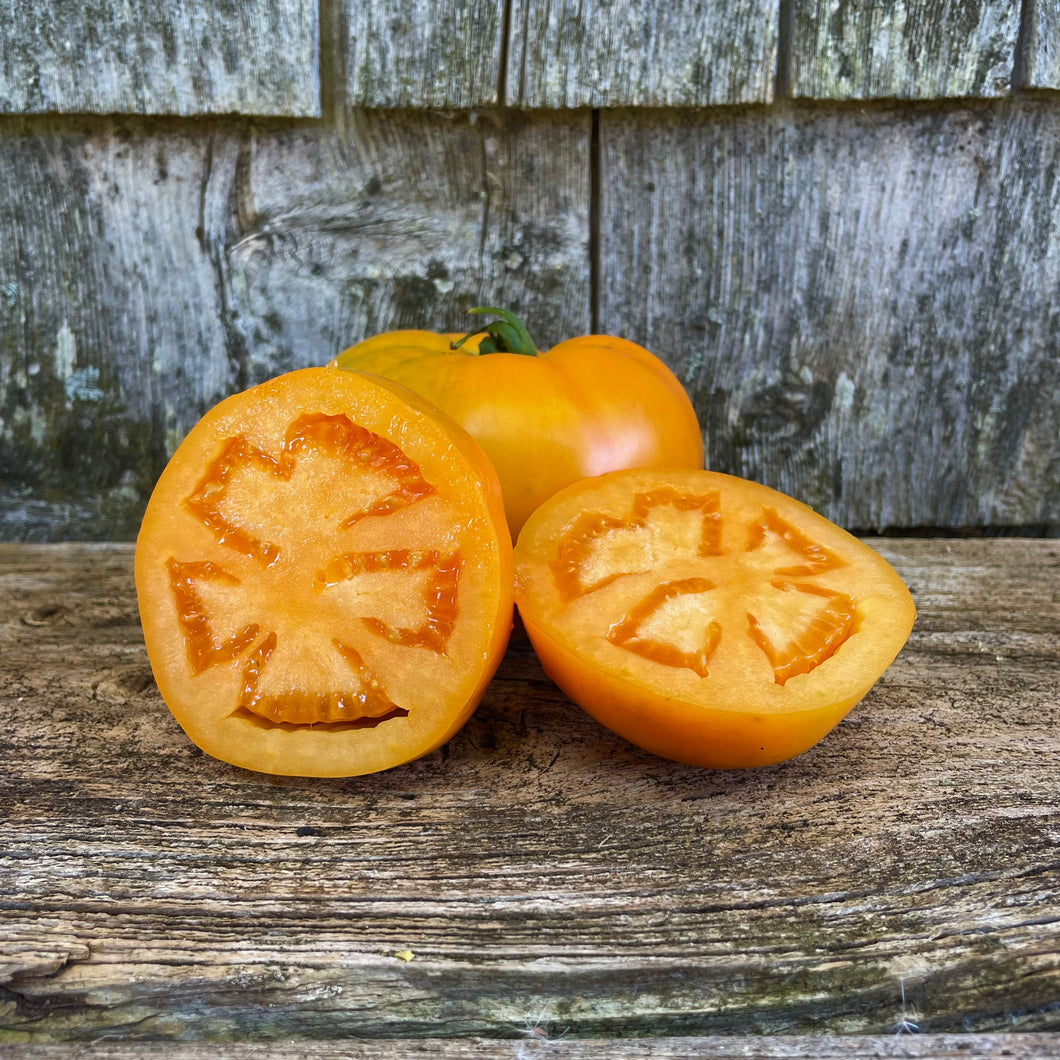 Valencia Tomato