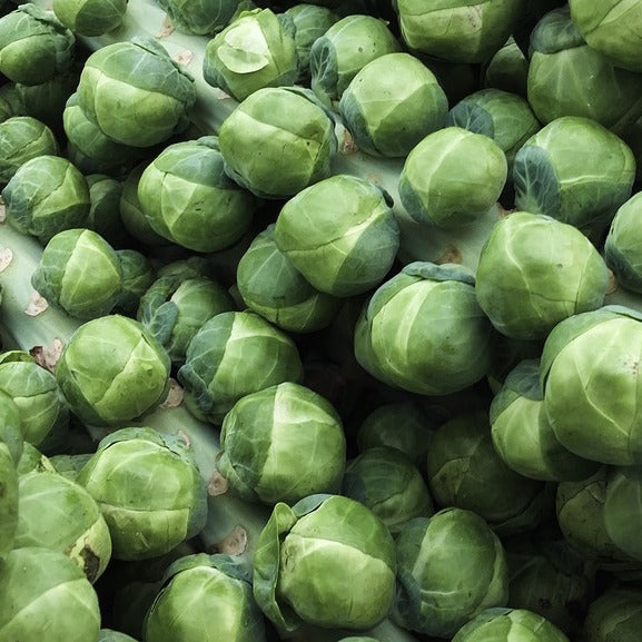Long Island Improved Brussel Sprouts